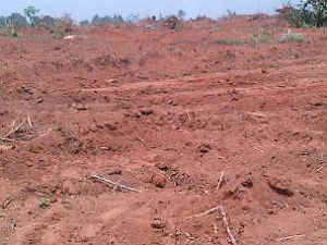 Land for sale in Ibadan